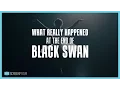 What Really Happened at the End of Black Swan