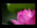 Devakant Blowing Zen (Oriental Wisdom II)