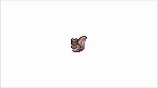 Terraria Squirrel