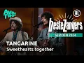 Download Lagu Tangarine - Sweethearts together | Beste Zangers 2024
