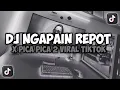 Download Lagu DJ KO TOLONG BILANG CINTA KA TIDAK || NGAPAIN REPOT X PICA PICA 2 VIRAL TIKTOK FULL SONG MAMAN FVNDY