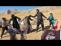Download Lagu Mashallah's Surprising Reaction to Narges' Sudden News About Ruqyah!
