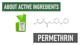 What is Permethrin Broad-Spectrum Insecticides