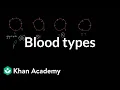 Blood types Human anatomy and physiology Health Medicine Khan Academy