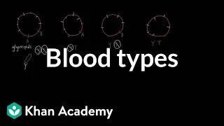 Blood types Human anatomy and physiology Health Medicine Khan Academy