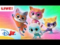 LIVE 24 HOURS SuperKitties Livestream Full Episodes Su-Purr Adventures More disneyjr