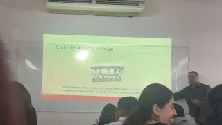 Anatomía Dentaria 21 de Abril