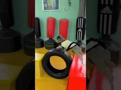 الجميع قال إن سامي سيخسر، لكنه أثبت للجميع عكس ذلك! | قوة الإصرار 🏆🔥