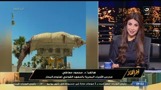كائن بحري غريب يثير الرعب في الساحل الشمالي استاذ احياء بحرية يوضح تفاصيل هامة 