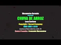 ⭐ Chuva de Arroz - Luan Santana (Karaokê Version) (Cover)