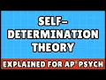 Self Determination Theory AP Psychology