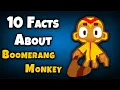 10 Facts About Boomerang Monkey BTD6