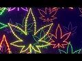 Neon Lights Cannabis Leaf Logo Flying Forward 4K Free Colorful Motion Background