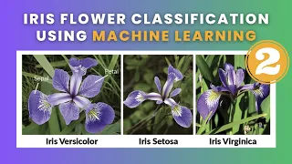 Iris Flower Classification - Part 2 Data Science Machine Learning Python 2023