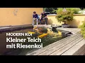Download Lagu Mit Makoto an Toms 16.000 Liter Teich | Modern Koi Blog #7635