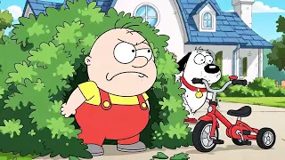 Family Guy Dubbed Comedy: Peter Griffin’s Most Chaotic Moments (Full)