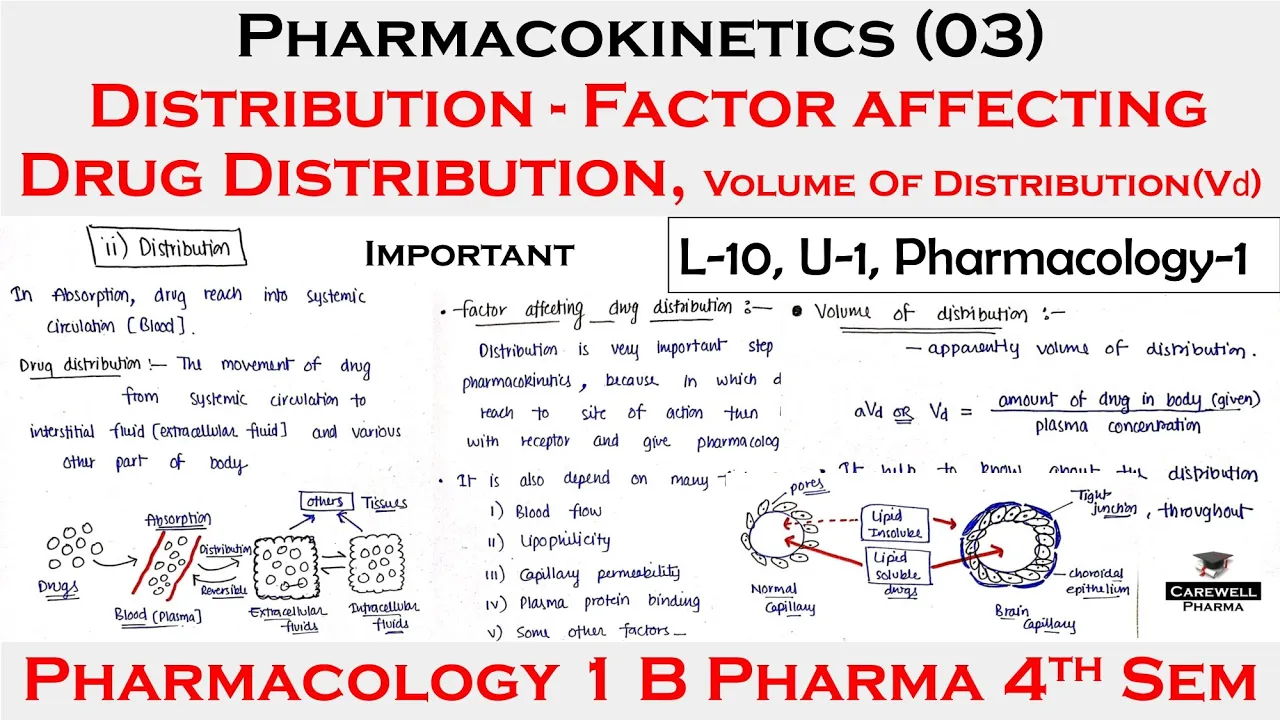 Pharmacokinetics (03) | Distribution + factor affecting drug distribution | volume of distribution