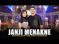 Download Lagu ROSYNTA DEWI Feat. HERIS HYDRAWAN - JANJI MENAKNE | Feat. BINTANG FORTUNA ( Official Music Video )
