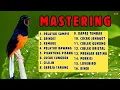 Download Lagu 🔴 KOMBINASI TERBAIK ‼️ MASTERAN MURAI BATU GACOR