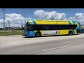 Buses in Myrtle Beach South Carolina 2023