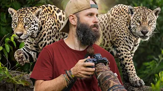 Viajé al Pantanal de Brasil para ver Jaguares en libertad
