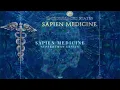 Download Lagu Superhuman Genius by Sapien Medicine (Energetically Programmed)