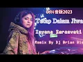 Download Lagu Tetap Dalam Jiwa (Isyana Sarasvati ) New Remix 2022 By Dj Brian Bie