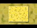 Watercolor Lemon US Letter Collection 30 Scrapbook Papers Clipart Die Cuts