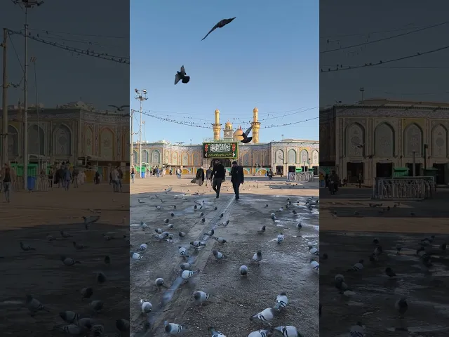 ⁣كلما عطشت جئت لابي الفضل العباس فيرويني بجوده إجابة ولا بالأحلام