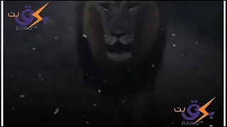 العين ماتعلى على الحاجب  العين ماتعلى على الحاجب