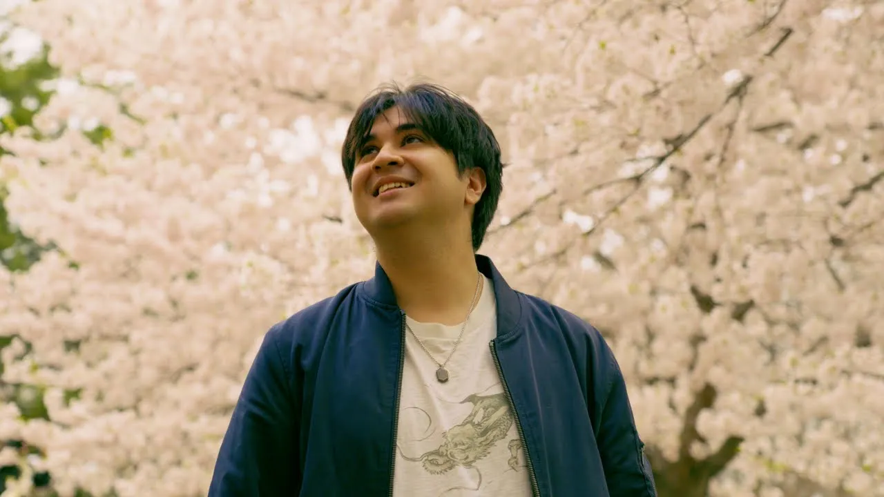 Cherry Blossoms