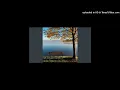 Man On The Run (Pitched) (WS Remix)