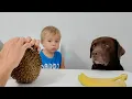 Hilarische reactie! Ik open een durian voor de ogen van mijn vriend en hond!