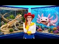 We Build Home For An Abandoned Axolotl Vs Turtle DIY Challenge by DiLi World