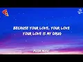 Kesha - Your Love Is My Drug (Lyrics)