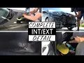 Deep Cleaning a Dirty Honda The Detail Geek