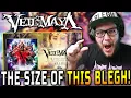 Download Lagu Metalhead Reacts to Veil Of Maya - \
