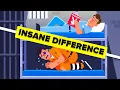 A Day in Minimum vs Maximum Security Prison