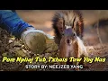 Download Lagu Neejzeb Yaj - Dab Neeg Hmoob - Pom Npliaj Tub Txhais Taw Yog Nas [09.08.2025]