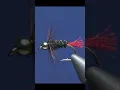 Legend fly RED TAG Nymph fly for Trout and Grayling