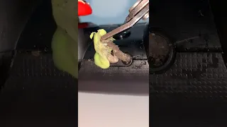 ASMR cleaning my PS4 controller jack