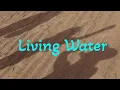 CAIN - Living Water (Lyrics Video) 