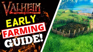 Valheim Early Farming Guide - CARROT FARM
