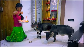 He is "My Brother not my Pet" | "I love you Bhaiyya" | Raksha bandan with Tiniest brother
