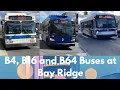 B4 B16 and B64 Buses at BayRidge