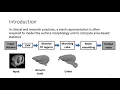 Voxel2Mesh 3D Mesh Model Generation from Volumetric Data - Presentation