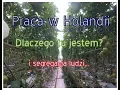 Lagu Praca w Holandii. Dlaczego jestem tu tak długo i o komentarzach trochę.