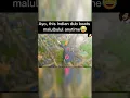 Download Lagu This Indian dub Pain beats malubulul