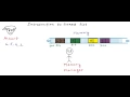 Introduction to linked list
