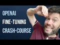 Fine-tune GPT-3 5-TURBO - A Crash Course
